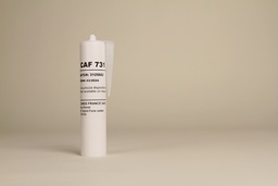 CAF 731